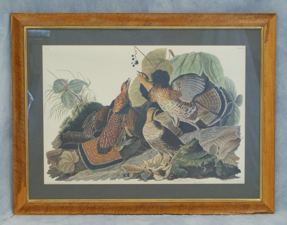 Appraisal: After John James Audubon American - Ruffed Grous Male F