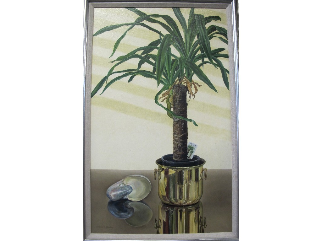 Appraisal: ELEANOR E GOURLAY Acrylic on canvas 'Yucca and Shell' signed