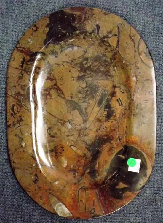 Appraisal: FOSSIL PLATE Morocco This phenomenon piece has stunning vibrant colour