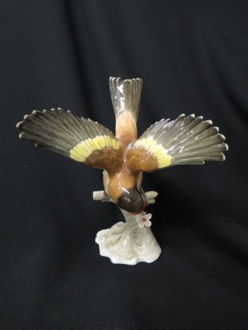 Appraisal: Hutschenreuther Porcelain Figurine of a Bird gold finch with flower