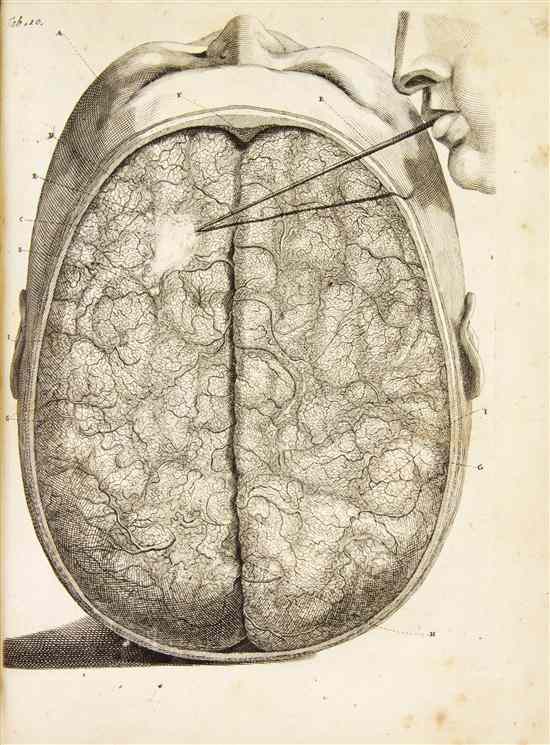 Appraisal: ANATOMY RUYSCH FREDERIK Opera omnia anatomico-medico-chirurgica Amsterdam Janssonio-Waesbergios n d