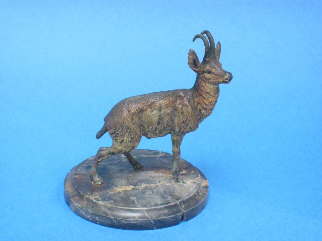 Appraisal: A painted Austrian bronze Figure of a stag on a