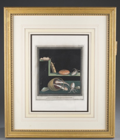 Appraisal: Group from a work by Bayardi Rome handsomely framed and