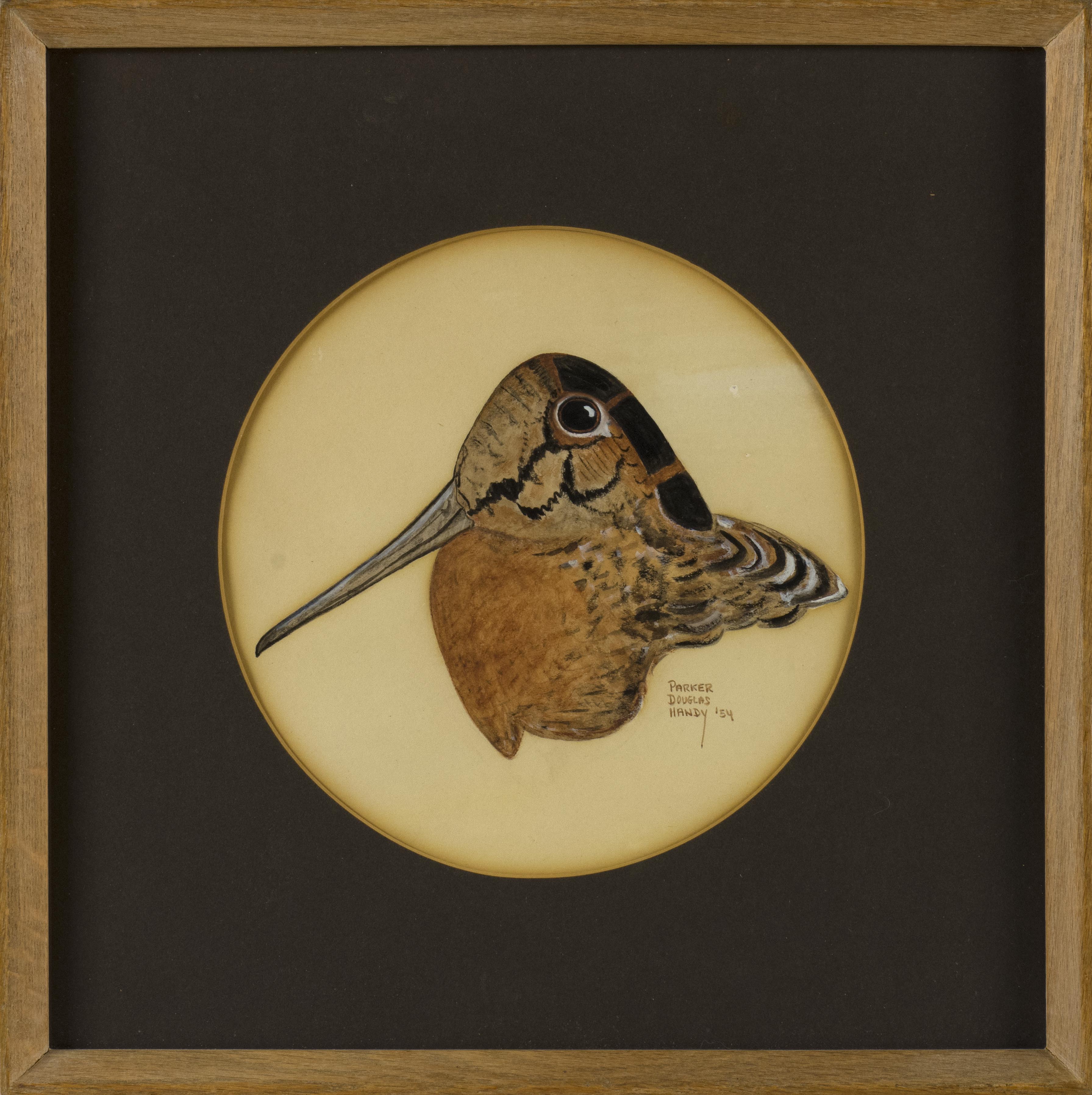 Appraisal: FRAMED STUDY OF A WOODCOCK Depicts a woodcock's head and