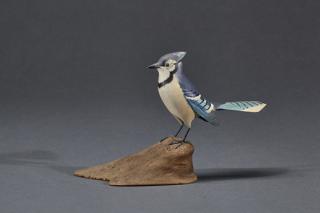 Appraisal: Miniature Blue Jay Robert Morse Miniature Blue Jay Robert Morse