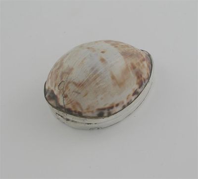 Appraisal: A George IV Irish mounted cowrie shell snuff box by