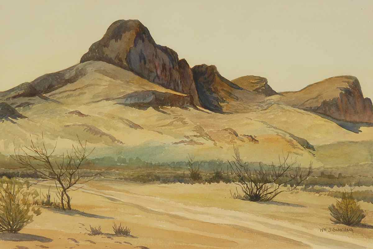 Appraisal: WILLIAM JOSEPH SCHALDACHAmerican - Safford Peak Tucson Mountains Signed lower