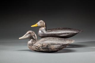 Appraisal: Two Black Duck Decoys New Jersey c A repainted black