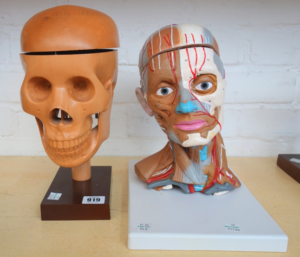 Appraisal: A beech model of an articulated human skull and two