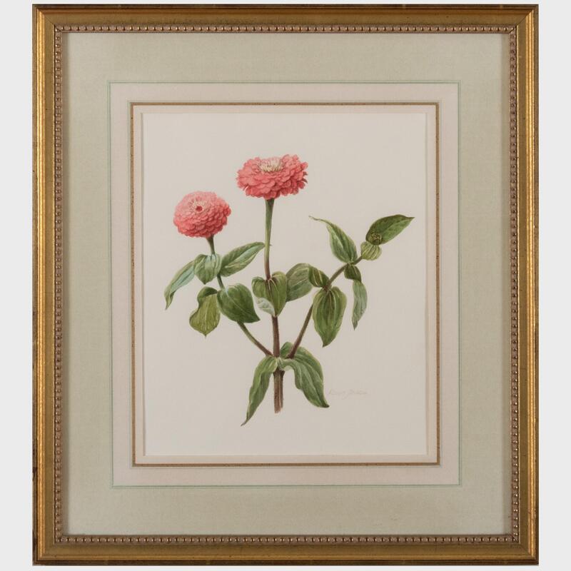 Appraisal: Robert Jackson Pink Zinnias Watercolor on paper signed 'Robert Jackson'