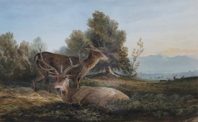 Appraisal: Newton Fielding - Stag and Hind watercolour cm x cm