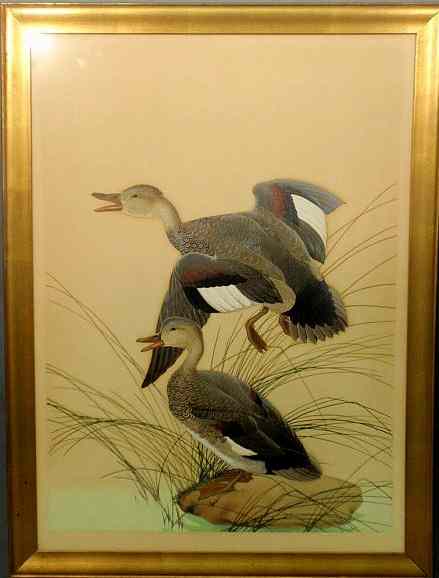 Appraisal: Large watercolor painting of two ducks titled Chaulelasmus Streperus Gadwell