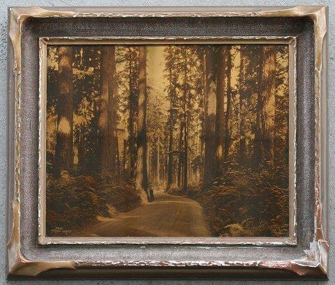 Appraisal: CURTIS Asahel American - Redwoods Orotone '' x '' signed