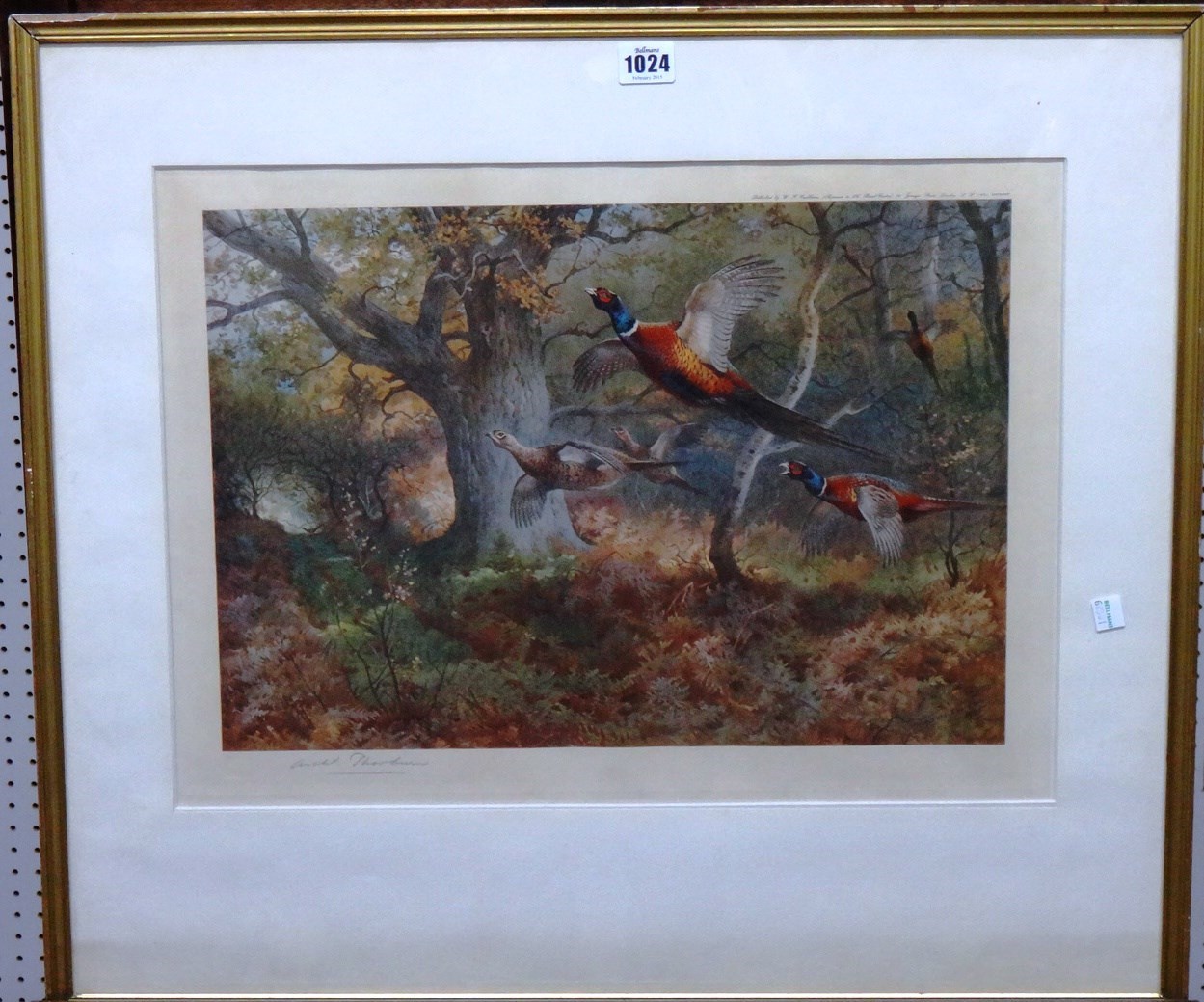 Appraisal: Archibald Thorburn - Pheasant Widgeon and Teal a group of