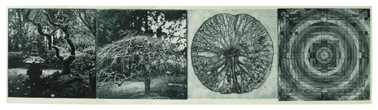 Appraisal: JUDY PFAFF When the Moon is Full Photgravure and collograph