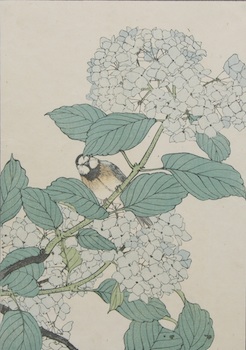 Appraisal: Keinon Japanese - Bird and Hydrangeas Woodblock print in colors