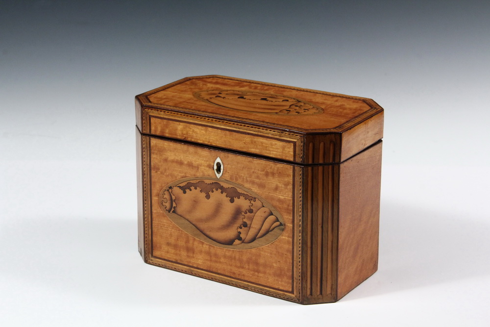 Appraisal: ENGLISH TEA BOX - Satinwood Box with canted corners having