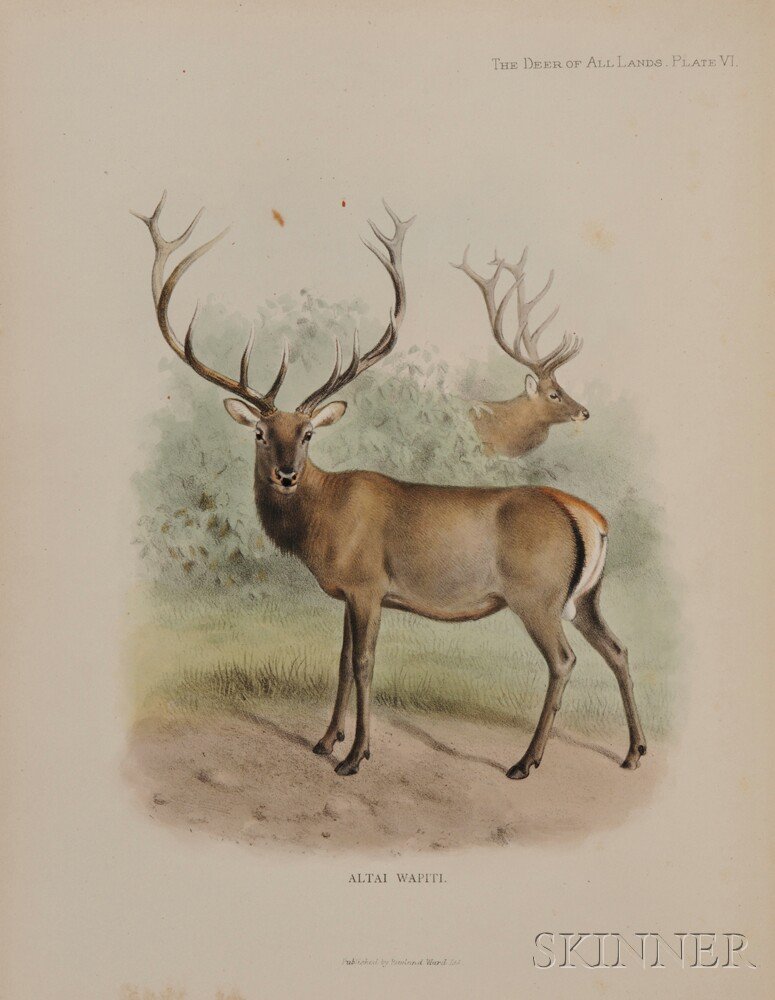 Appraisal: Lydekker Richard - The Deer of All Lands London Rowland