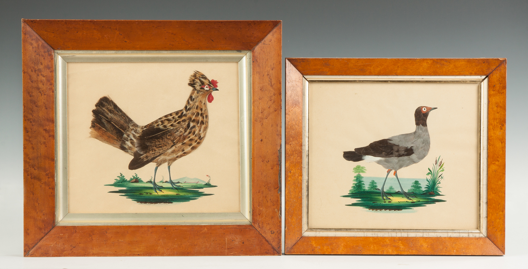 Appraisal: Two Feather Watercolor Paintings Bird's eye maple frames