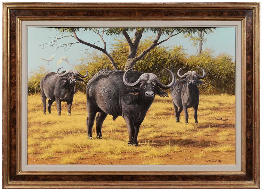 Appraisal: Robert MacIntosh British born Three Cape Buffalo signed lower right