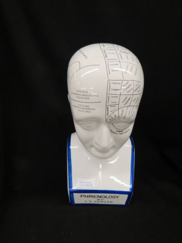 Appraisal: Phrenology Bust descriptions of brain functions