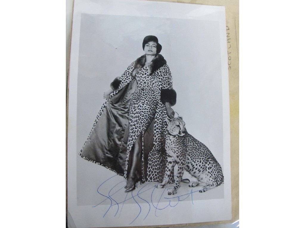 Appraisal: Folio of autographed photos of various showbiz personalities - Bing