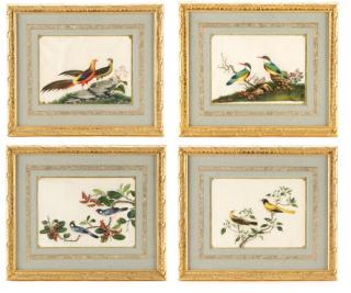 Appraisal: Collection of Pith Paper Paintings After Tingqua After Tingqua Chinese