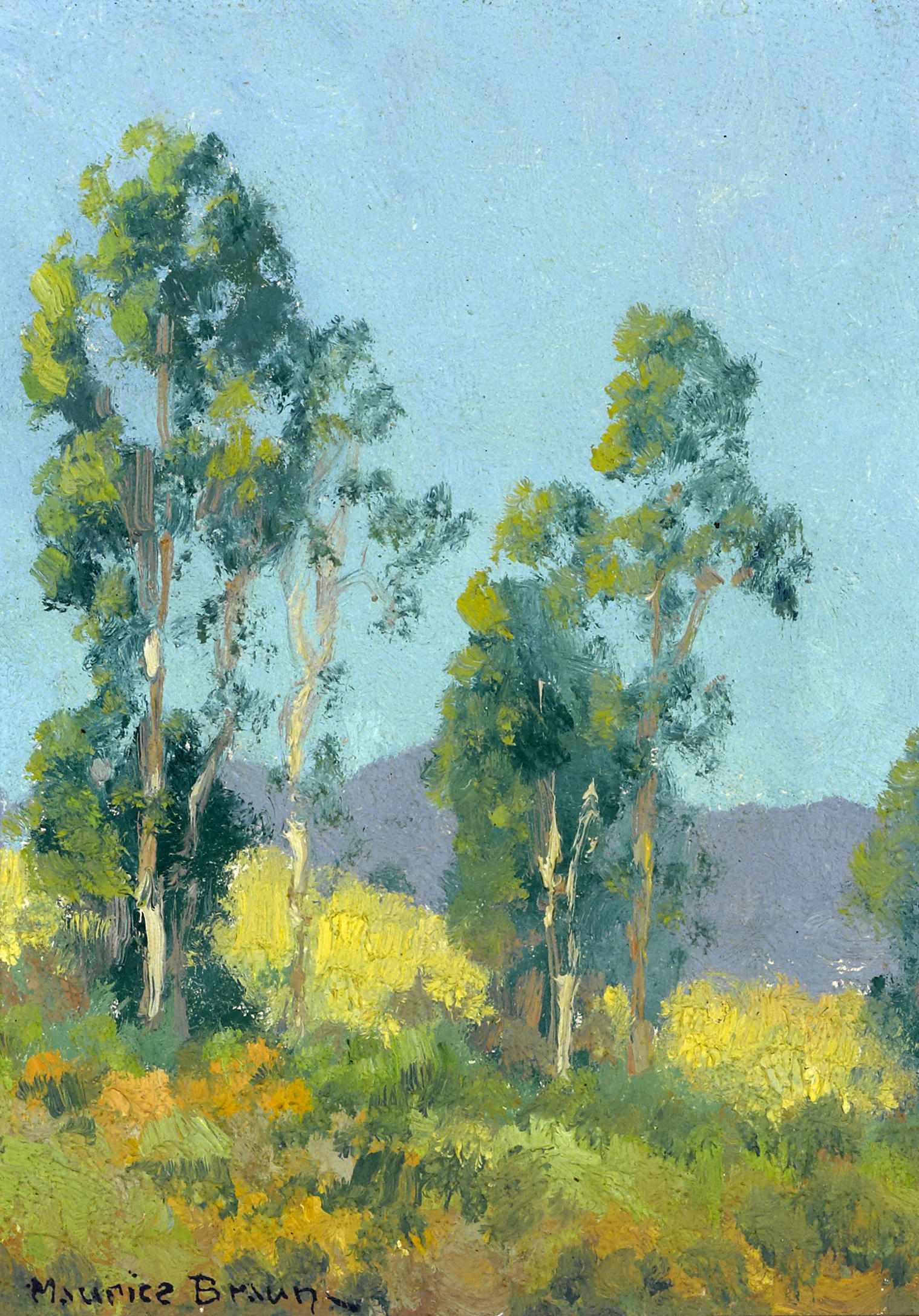 Appraisal: Maurice Braun American - Blue skies over California hills signed