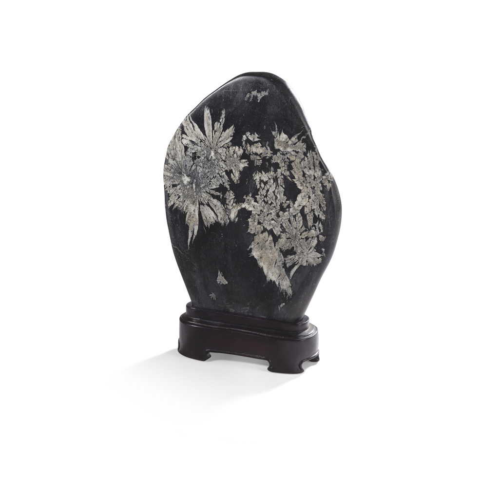 Appraisal: CHRYSANTHEMUM STONE SCHOLAR'S ROCK of black-grey tone with multiple chrysanthemum