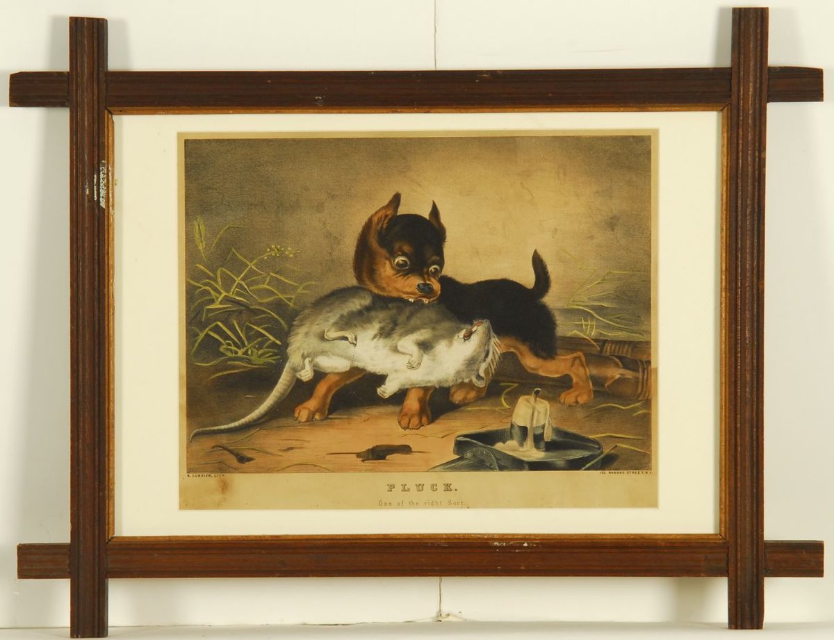 Appraisal: FRAMED CURRIER IVES COLORED LITHOGRAPH Pluck depicting a rat terrier