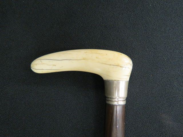 Appraisal: Ivory Handled Cane long