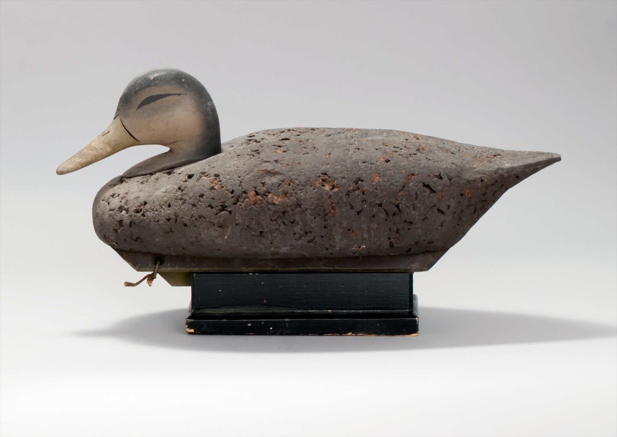 Appraisal: BLACK DUCK DECOY By Al McCormick of Long Island New