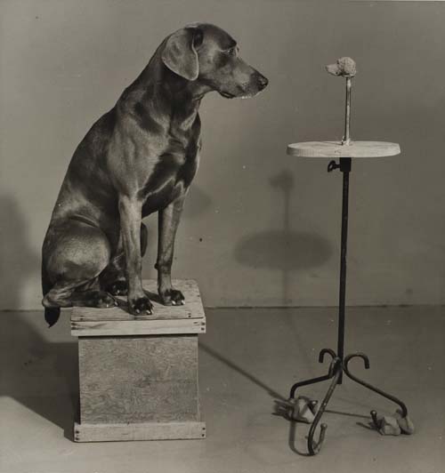 Appraisal: WEGMAN WILLIAM - Man Ray Portfolio With photographs of Wegman's