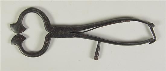 Appraisal: Sugar Nippers Early th Century Complete with clasp long