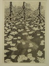 Appraisal: LITHO - 'Three Worlds' by M C Escher Dutch -