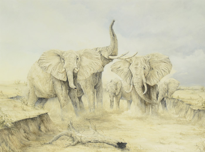 Appraisal: TARA MOORE OIL ON CANVAS Maryland born African elephant herd