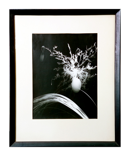 Appraisal: Gyorgy Kepes Untitled silver gelatin emulsion print photogram - x