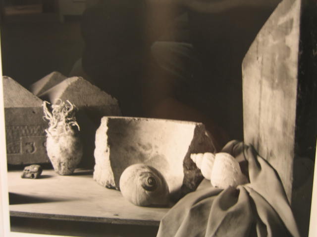 Appraisal: HOWARD NATHENSON AMERICAN Still life with seashells and architectural fragments