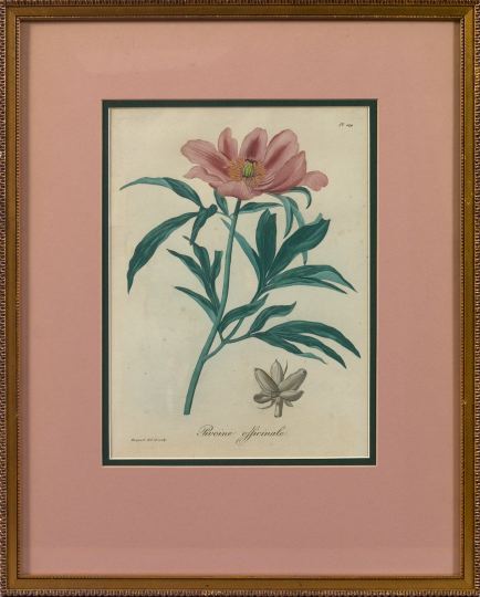 Appraisal: Floral Lithograph and Engraving one British School Second Quarter th