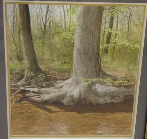 Appraisal: W Schiener American th c w c tree roots by