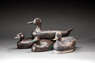 Appraisal: Four Decoys Four DecoysBlack duck by George D Runyan bluebill