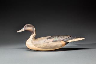 Appraisal: Pintail Drake Robert Bob White b Tullytown PA A hollow