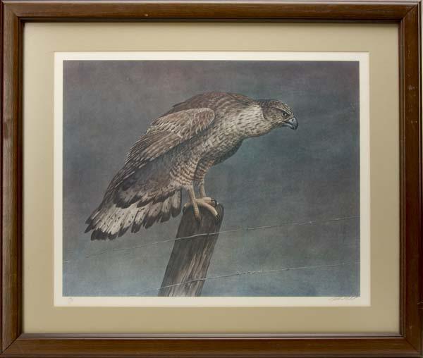 Appraisal: WILDLIFE ART Framed print of a falcon atop a post