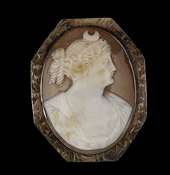 Appraisal: k Diana Portrait Cameo k yellow gold shell cameo brooch