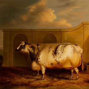 Appraisal: English School Early th Century Untitled Cow oil on canvas