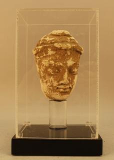 Appraisal: Antique Limestone Bust in Plexi-glass Display Case Bought from Afghanistan