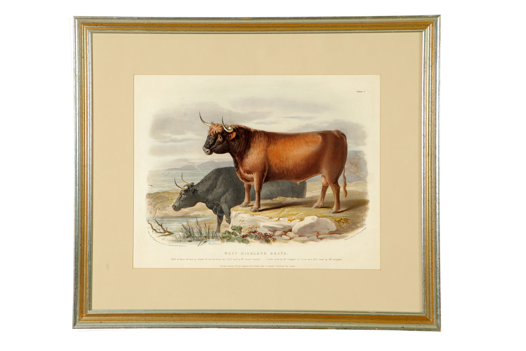 Appraisal: TWO PRINTS OF CATTLE England published handcolored engravings Highland and