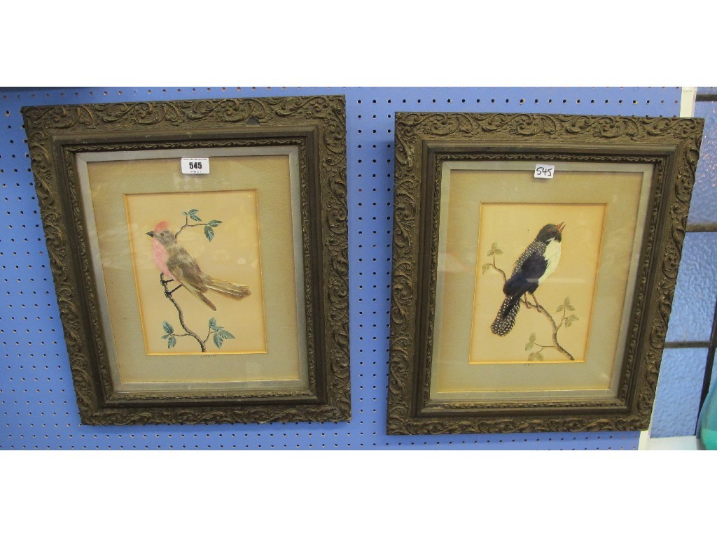 Appraisal: Pair of framed watercolour and feather pictures of birds -