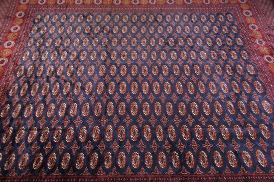 Appraisal: BOKHARA RUG - App ft in x ft