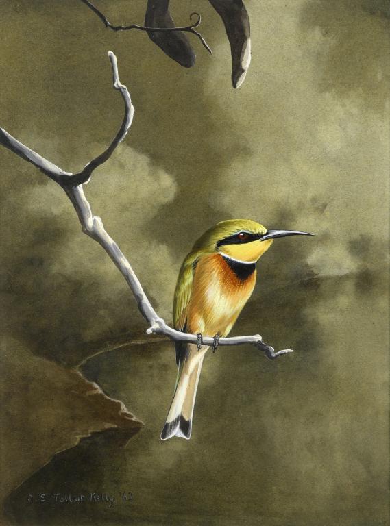 Appraisal: CHLOE ELIZABETH TALBOT KELLY - KINGFISHERS BEE EATER a pair